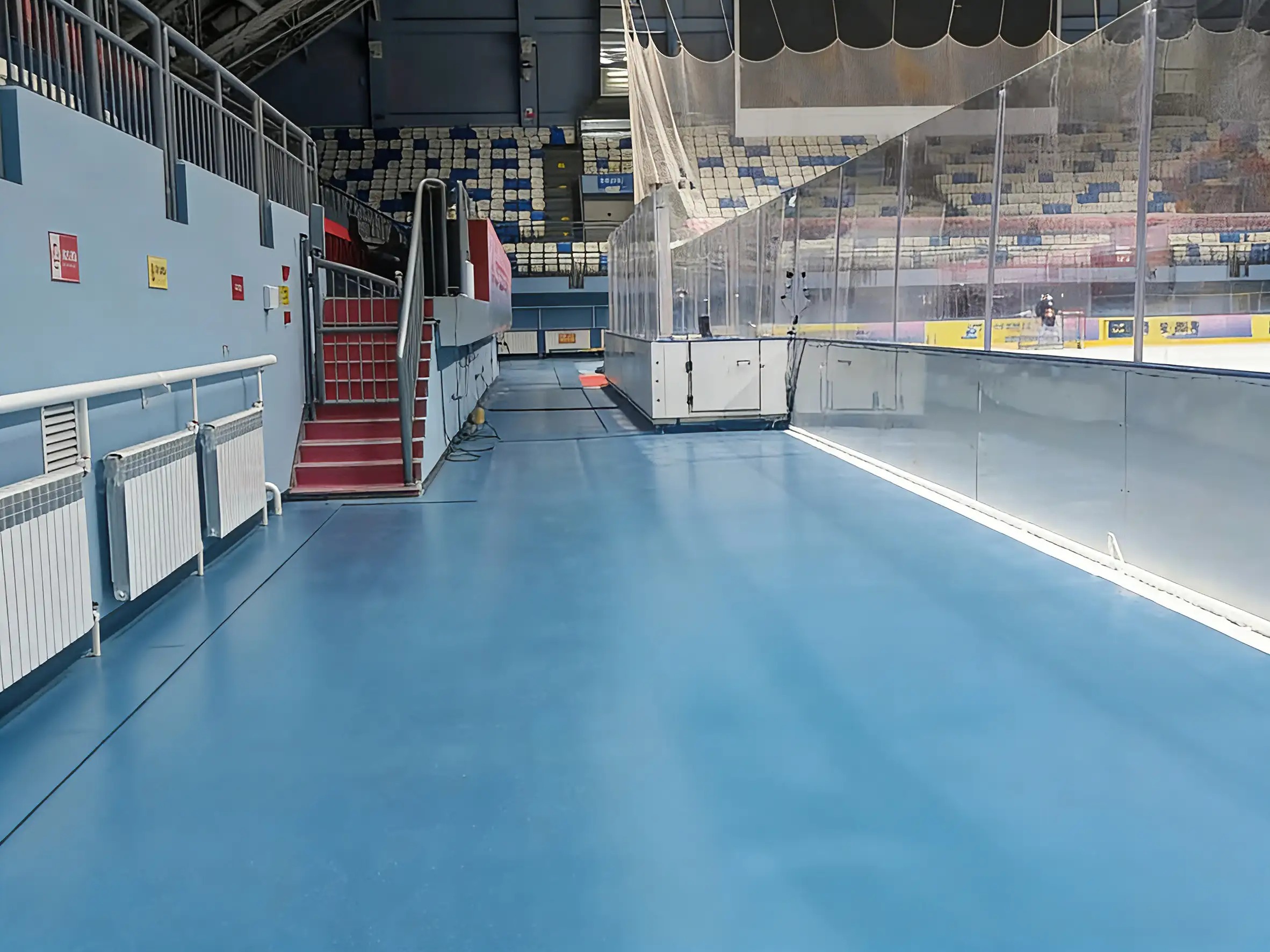 Ice Rink Field
